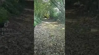 dried up river bed adventures #walking #ukwalking #riverbed