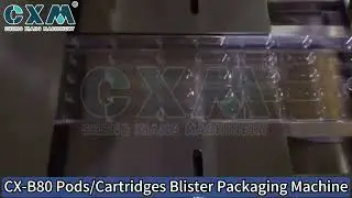CX-B80 Blister Packaging Machine for Pods | High-Speed Automatic Blister Line