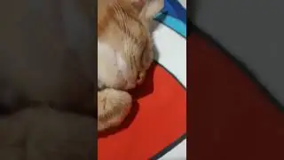 maaf kalo jelek