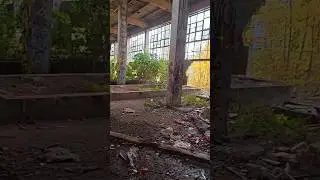 VERLASSENE FABRIKHALLE - DIE NATUR IST ST&Auml;RKER |  #adventure #lostplace #urbex