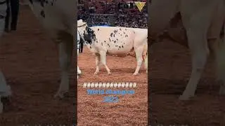 #Amit #Dairy #Farm .#Like Share & Subscribe.