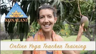 Intro to Konalani