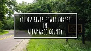 Yellow River State Forest in Allamakee County in Northeast Iowa.