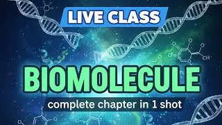 Live class of Biomolicule reaction 