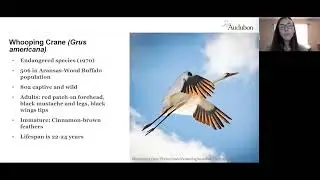 April 2022 Rowe Sanctuary Conservation Lessons - Amanda Hegg