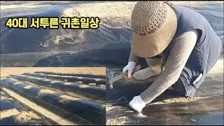 40후반 1인가구 일상 브이로그 vlog 부모님 밭일돕는 서투른 귀촌일상