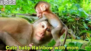 Sop sweet naughty monkey Libby become to be real mother of baby Rainbow/ Baby very excited with her