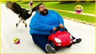 😂 I Can't Stop Laughing! Funniest Animal Fails That Broke The Internet 🤯 (2025)