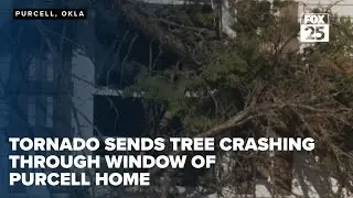 Tornado sends tree crashing through window of Purcell home