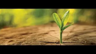 Are you lost in it   message