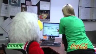 Hartford Hawks Go Green Tip - Online Bill Pay