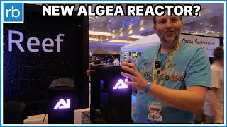 Adaptive Reef X AI Refugium Reactor Collab &ndash; Sleek Or Meek?
