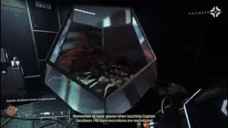 Nessus Frog Terrarium | Failsafe: 
