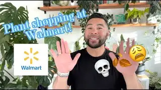 Unexpected plant shopping at Walmart
