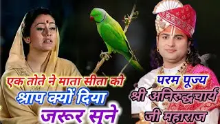 एक तोते ने माता सीता को श्राप क्यों दिया? | रामायण की चौंकाने वाली कथा |#श्रीअनिरुद्धचार्य जी महाराज