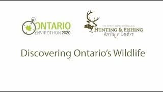Ontario Envirothon Virtual Lab: Discovering Ontario&rsquo;s Wildlife