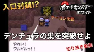 【ポケットモンスターホワイト】入口封鎖⁉︎ デンチュラの巣を突破せよ[Tiktok配信切り抜き]