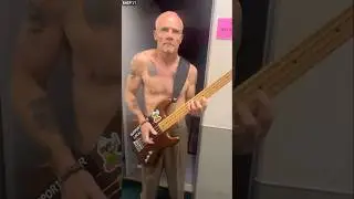 Flea Is The Master Of Slap Bass! #Flea #RHCP #RedHotChiliPeppers #Live #Shorts