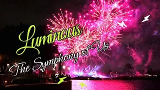 Luminous The Symphony of Us | Epcot Park | Disney World | Sep 2025 | Fireworks