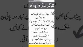 Reflections of Islam: Meaningful Quotes