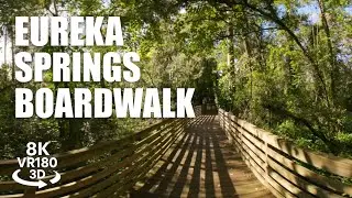 Eureka Springs Boardwalk VR180 8K 3D | Tampa FL Gardens, Nature Trail VR Walk | VR视频 8K 3D動画 VR旅行