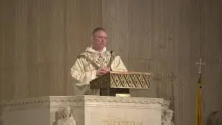 Homily During the Mass on the Patronal Feast of Saint Thomas Aquinas