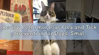 Review PetArmor Plus Flea and Tick Prevention for Dogs, Small Dog Flea and Tick Treatment, 3 Doses,