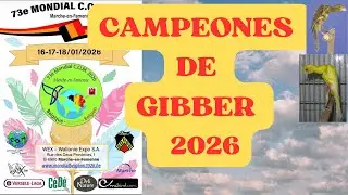 GIBBERS CAMPEONES DEL MUNDO