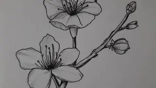 How To Draw Flowers #StillLifeDrawing #Doodle #DrawingFromNature#Drawing #LineDrawing #GOGOART