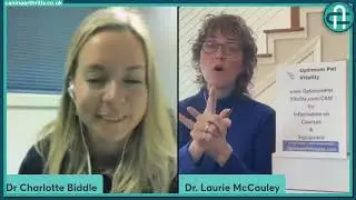 CAM LIVE: Exercises for the geriatric dog with Laurie McCauley