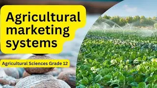 Agricultural Sciences grade 12: Agricultural Marketing Systems