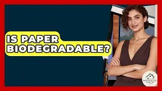 Is Paper Biodegradable? - Minimalist Home Life