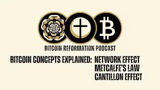 015 Bitcoin Concepts Explained: Network Effects, Metcalfe's Law & the Cantillon Effect