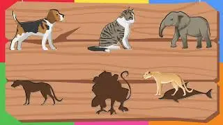 🐘 Игра на сопоставление теней животных | Развивающая игра для детей от 3 до 7 лет