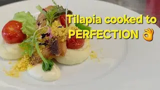 Pan-Seared Tilapia Filet | Michelin-Style Plating POV