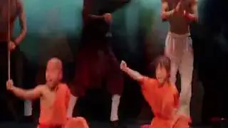 Long Style, Yiting Wu, Fei Long Fighter Shaolin Wudang