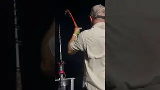 That late night bite