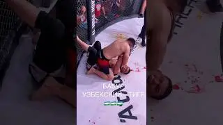Бобур горилла Узбекский Халк проиграл бой #мма #хонор #mma #харидуз #бои #muradaov #бокс #узбек