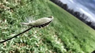 Are you a hunter? save some money if you use this! /English sub
