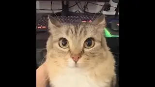Minecraft PVP