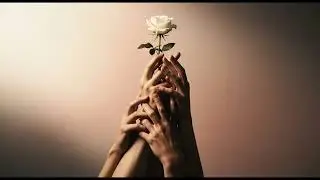 MCR - From Inside It Goes All The Way Up, Love You So Much It Hurts Me So Much, Catch A Breath To Me
