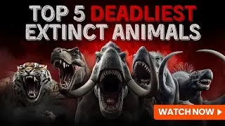 Top 5 Deadliest Extinct Animals In The World