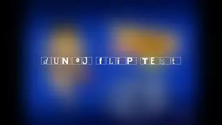 Dunaj Flip Test
