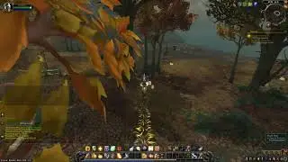 Battle for Azeroth Quest 208: In Case of Ambush (WoW, human, Paladin)