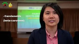 Palm Oil Health Awareness CPD Lunch Talk | Interview with  Associate Professor Dr. Mah Siau