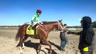The very promising 2 year old Parker Boone won his debut for trainer Butch Reid, Jr.