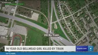 14-year-old La Vega student killed by train after falling on tracks while trying to cross