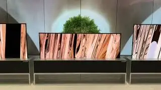 CES 2019: LG's rollable TV