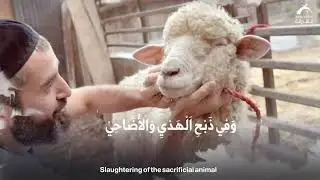 ما هي حكم وأسرار ذبح الهدي والأضاحي في الحج؟ | روح الحج
