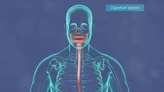 The importance of detoxification
